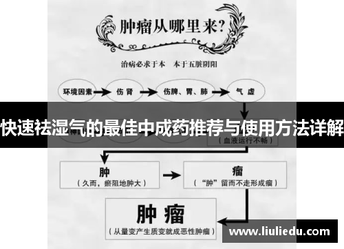 快速祛湿气的最佳中成药推荐与使用方法详解